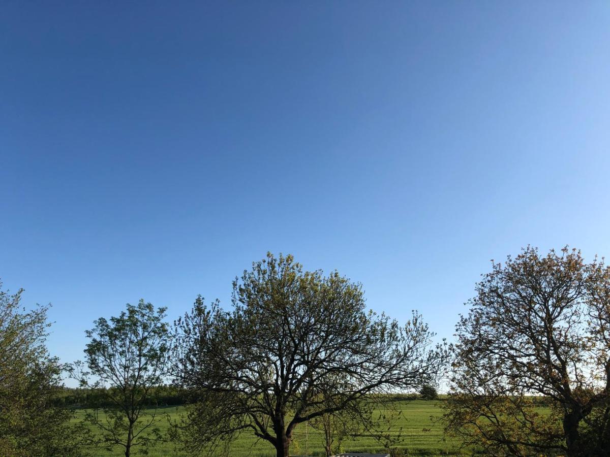 Mit Blick Auf
